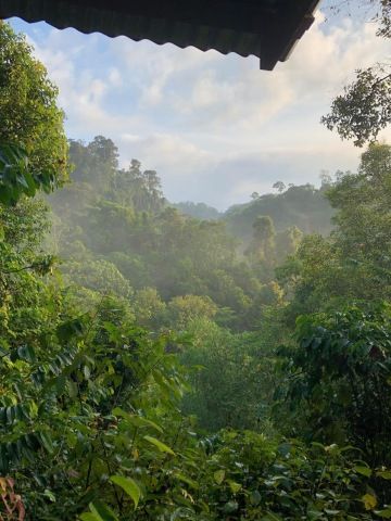 Severní Sumatra - Green and Blue Life projekt - část 1