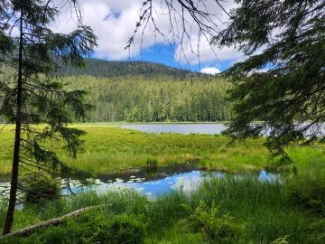 Z Železné Rudy do Zwiesel, k Velkému Javorskému jezeru a zpět